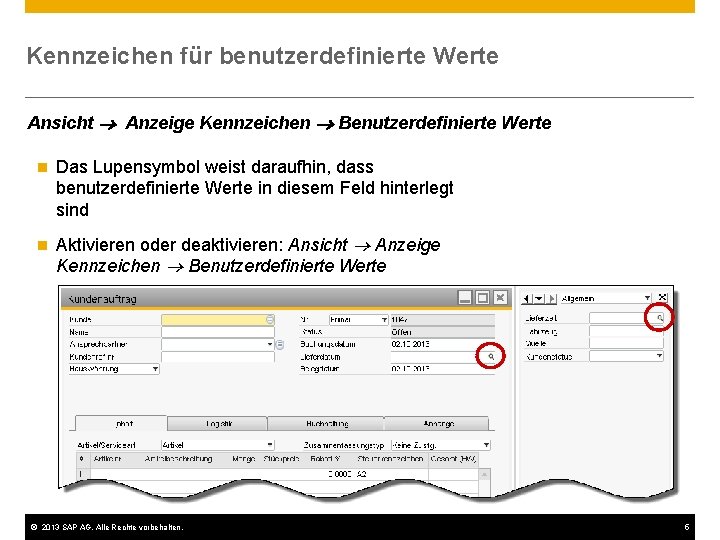 Kennzeichen für benutzerdefinierte Werte Ansicht Anzeige Kennzeichen Benutzerdefinierte Werte n Das Lupensymbol weist daraufhin,