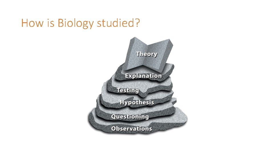 How is Biology studied? Insert F 01 -06 