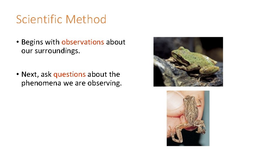 Scientific Method • Begins with observations about our surroundings. • Next, ask questions about