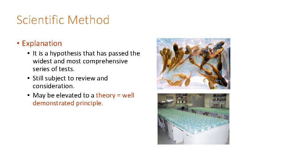 Scientific Method • Explanation • It is a hypothesis that has passed the widest