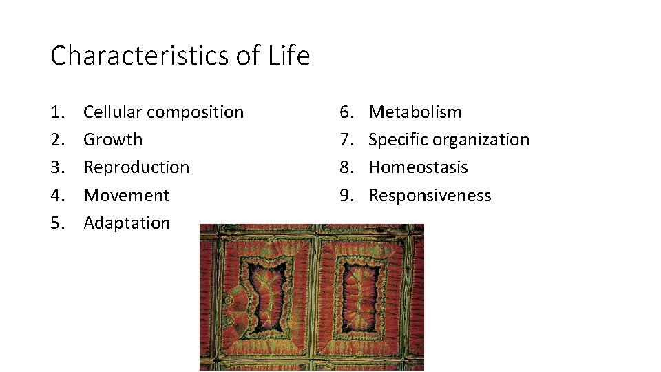 Characteristics of Life 1. 2. 3. 4. 5. Cellular composition Growth Reproduction Movement Adaptation