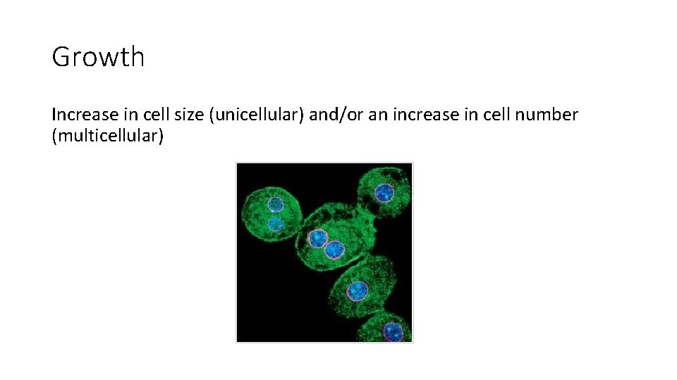 Growth Increase in cell size (unicellular) and/or an increase in cell number (multicellular) 