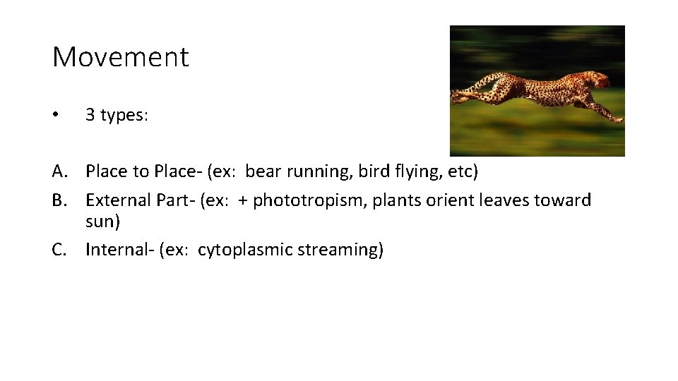 Movement • 3 types: A. Place to Place- (ex: bear running, bird flying, etc)