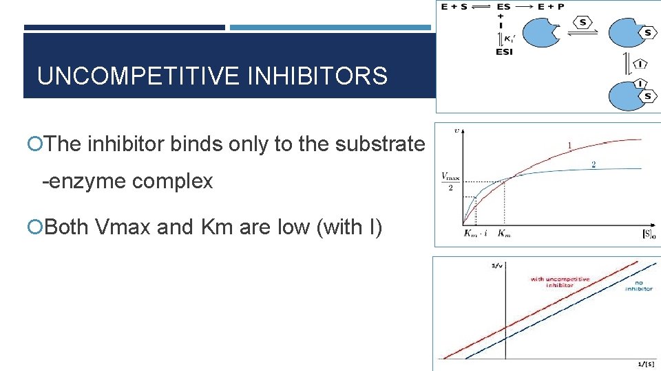 UNCOMPETITIVE INHIBITORS The inhibitor binds only to the substrate -enzyme complex Both Vmax and