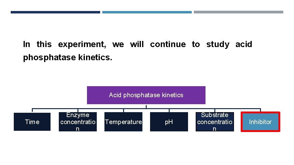 In this experiment, we will continue to study acid phosphatase kinetics. Acid phosphatase kinetics