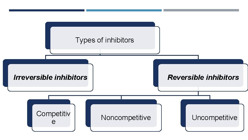 Types of inhibitors Irreversible inhibitors Competitiv e Reversible inhibitors Noncompetitive Uncompetitive 