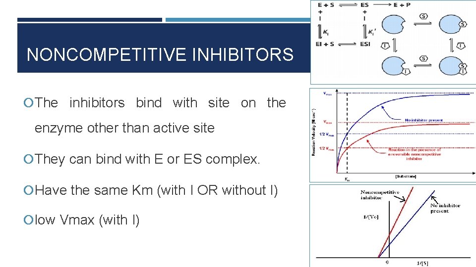 NONCOMPETITIVE INHIBITORS The inhibitors bind with site on the enzyme other than active site