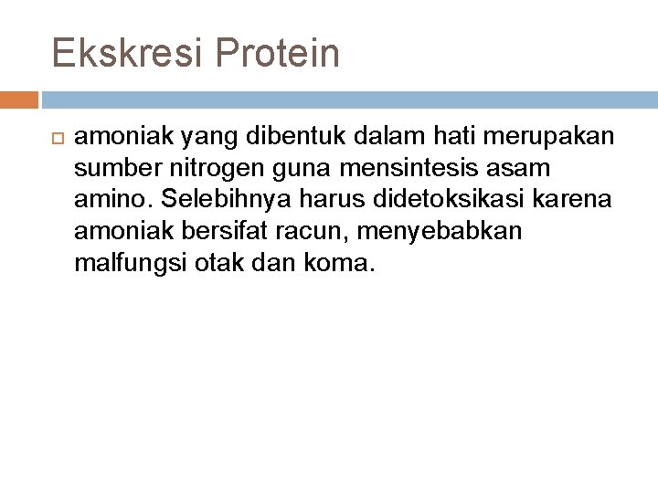 Ekskresi Protein amoniak yang dibentuk dalam hati merupakan sumber nitrogen guna mensintesis asam amino.