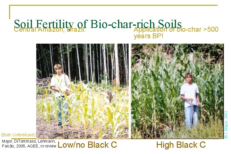 Soil Fertility of Bio-char-rich Soils Central Amazon, Brazil: Application of bio-char >500 © J.