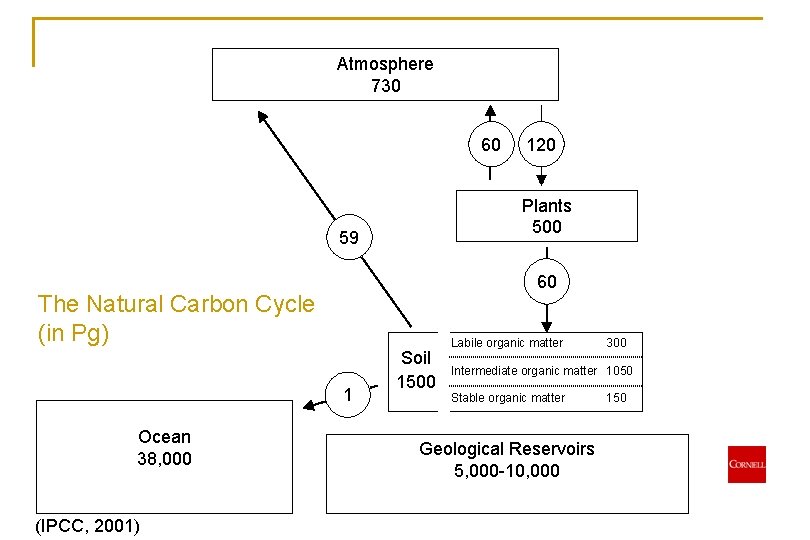 Atmosphere 730 60 Plants 500 59 60 The Natural Carbon Cycle (in Pg) 1