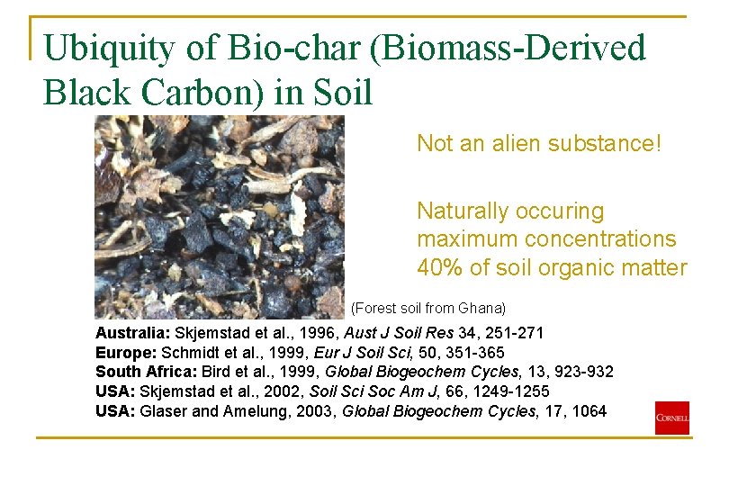 Ubiquity of Bio-char (Biomass-Derived Black Carbon) in Soil Not an alien substance! Naturally occuring