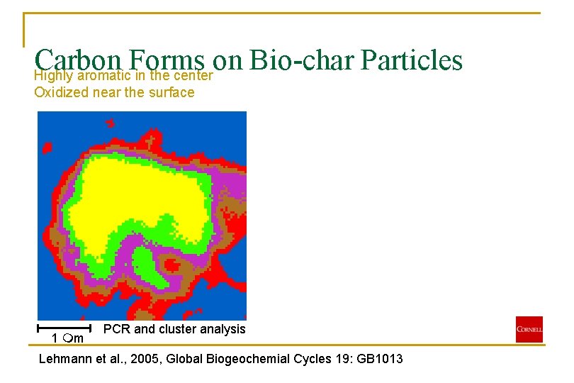 Carbon Forms on Bio-char Particles Highly aromatic in the center Oxidized near the surface