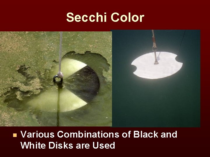 Secchi Color n Various Combinations of Black and White Disks are Used 