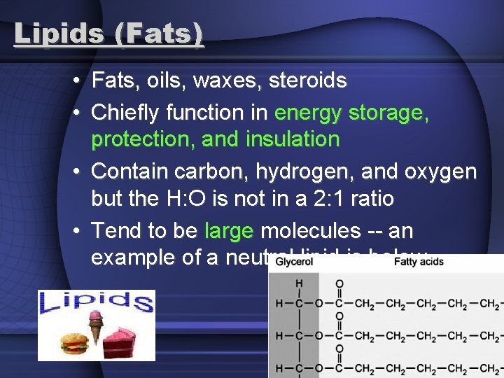 Lipids (Fats) • Fats, oils, waxes, steroids • Chiefly function in energy storage, protection,