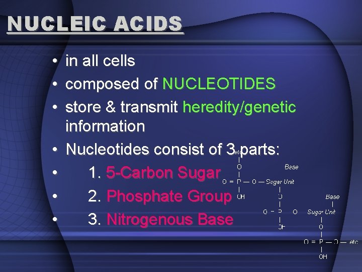 NUCLEIC ACIDS • • in all cells composed of NUCLEOTIDES store & transmit heredity/genetic