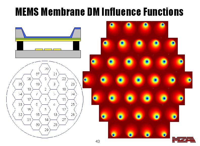 MEMS Membrane DM Influence Functions 43 