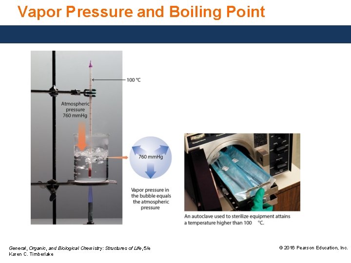 Vapor Pressure and Boiling Point General, Organic, and Biological Chemistry: Structures of Life, 5/e