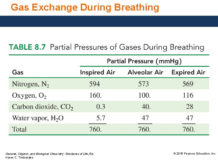 Gas Exchange During Breathing General, Organic, and Biological Chemistry: Structures of Life, 5/e Karen