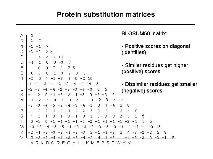 Protein substitution matrices A R N D C Q E G H I L Protein substitution matrices A R N D C Q E G H I L