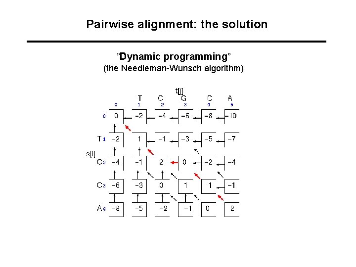 Pairwise alignment: the solution ”Dynamic programming” (the Needleman-Wunsch algorithm) 