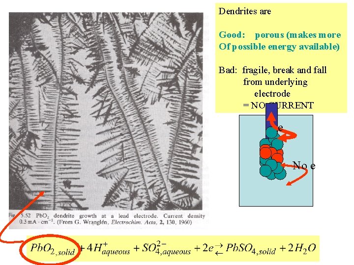 Dendrites are Good: porous (makes more Of possible energy available) Bad: fragile, break and