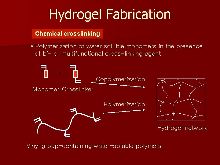 Hydrogel Fabrication Chemical crosslinking • Polymerization of water soluble monomers in the presence of