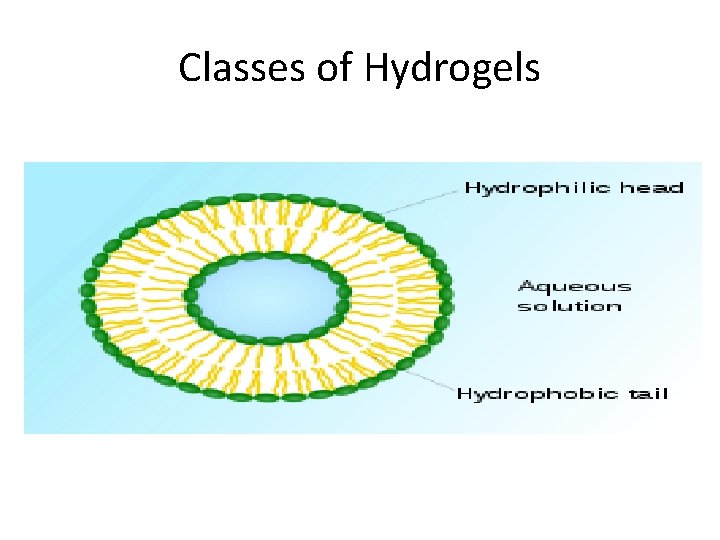 Classes of Hydrogels 