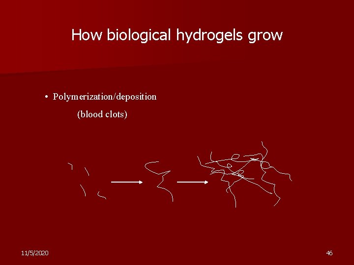 How biological hydrogels grow • Polymerization/deposition (blood clots) 11/5/2020 46 