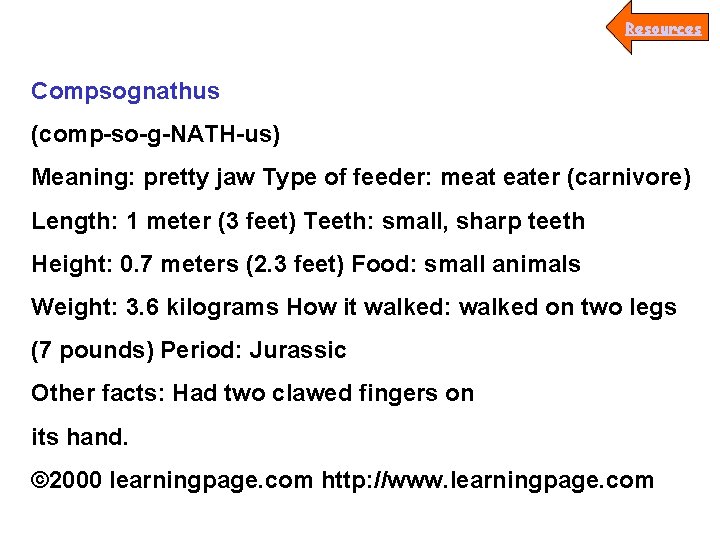 Resources Compsognathus (comp-so-g-NATH-us) Meaning: pretty jaw Type of feeder: meat eater (carnivore) Length: 1