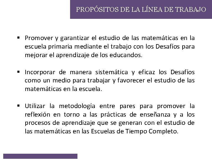 PROPÓSITOS DE LA LÍNEA DE TRABAJO § Promover y garantizar el estudio de las