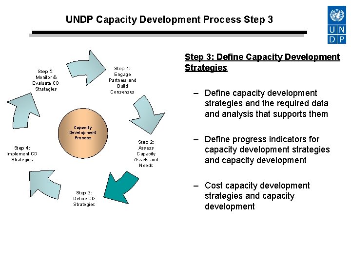 UNDP Capacity Development Process Step 3 Step 1: Engage Partners and Build Consensus Step