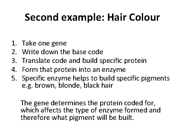 Second example: Hair Colour 1. 2. 3. 4. 5. Take one gene Write down