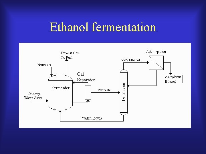 Ethanol fermentation 