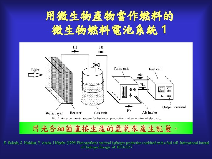 用微生物產物當作燃料的 微生物燃料電池系統 1 用光合細菌直接生產的氫氣來產生能量。 E. Nakada, S. Nishikat, Y. Asada, J. Miyake (1999) Photosynthetic