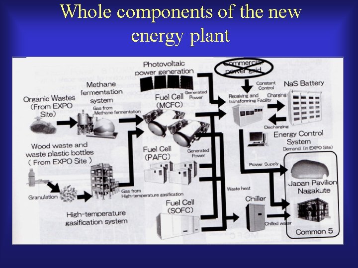 Whole components of the new energy plant 