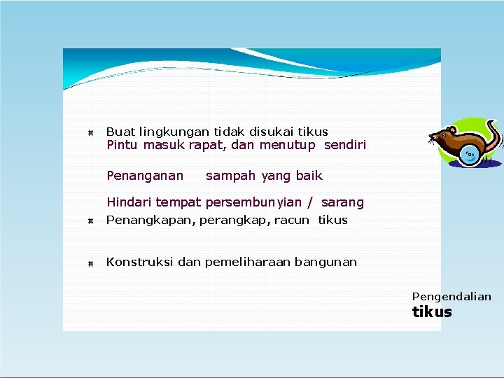 Buat lingkungan tidak disukai tikus Pintu masuk rapat, dan menutup sendiri Penanganan sampah yang