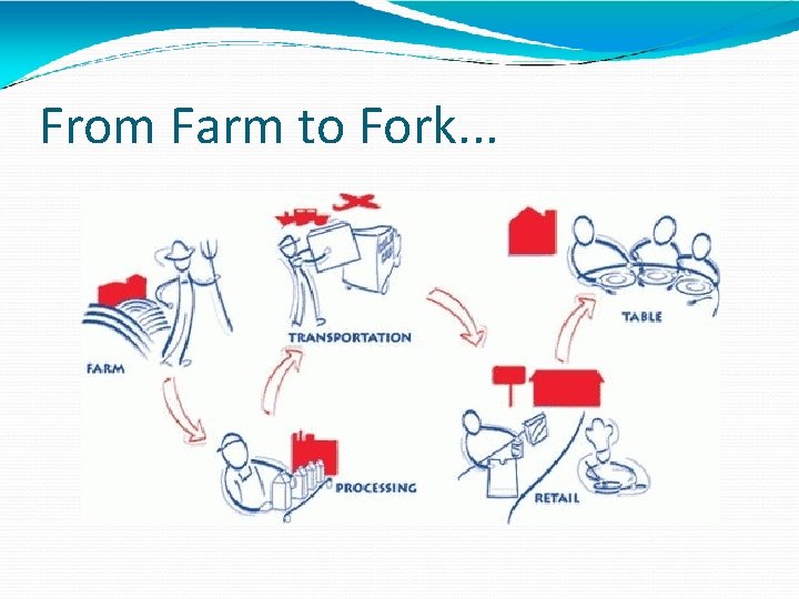 From Farm to Fork. . . 