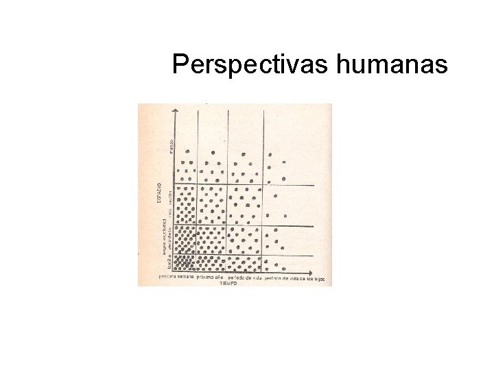 Perspectivas humanas 