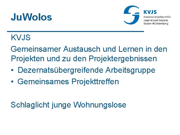 Ju. Wolos KVJS Gemeinsamer Austausch und Lernen in den Projekten und zu den Projektergebnissen