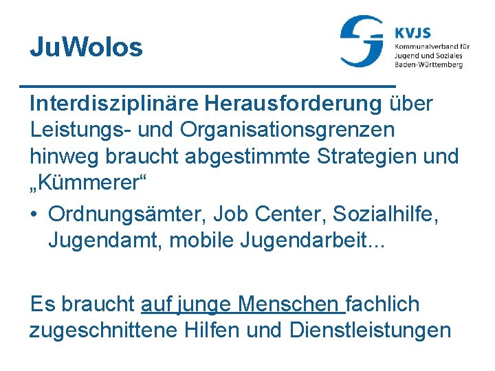 Ju. Wolos Interdisziplinäre Herausforderung über Leistungs- und Organisationsgrenzen hinweg braucht abgestimmte Strategien und „Kümmerer“