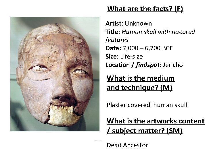 What are the facts? (F) Artist: Unknown Title: Human skull with restored features Date: