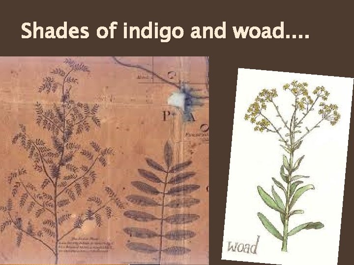 Shades of indigo and woad. . Shades of indigo and woad. .