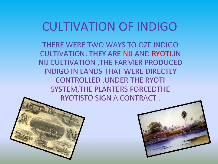 CULTIVATION OF INDIGO THERE WERE TWO WAYS TO OZF INDIGO CULTIVATION. THEY ARE NIJ CULTIVATION OF INDIGO THERE WERE TWO WAYS TO OZF INDIGO CULTIVATION. THEY ARE NIJ