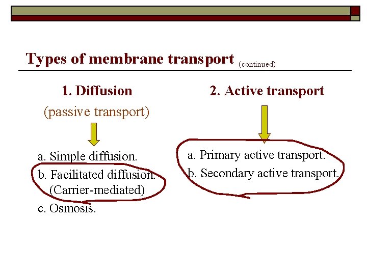 Types of membrane transport (continued) 1. Diffusion (passive transport) 2. Active transport a. Simple