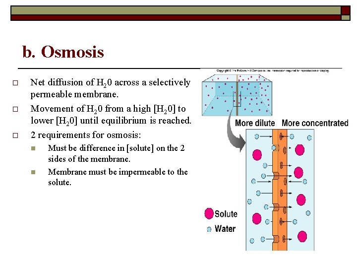 b. Osmosis o o o Net diffusion of H 20 across a selectively permeable