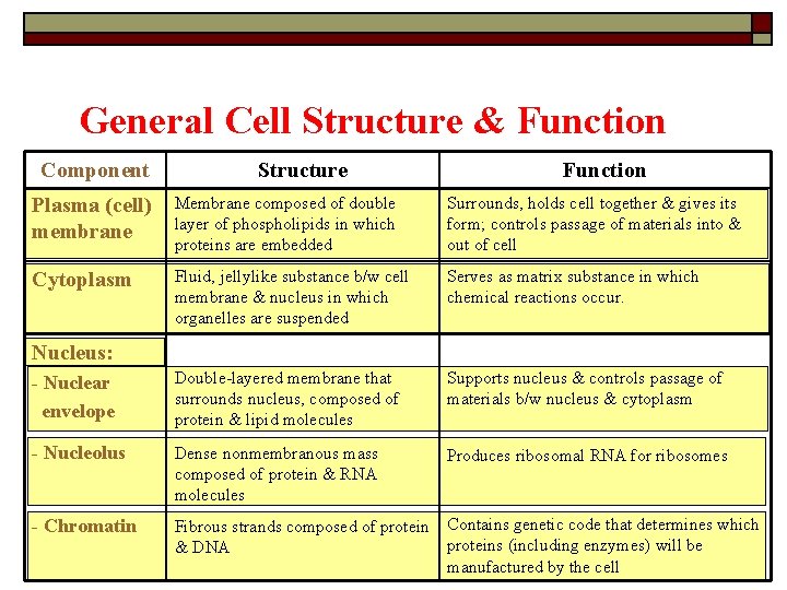 General Cell Structure & Function Component Structure Function Plasma (cell) membrane Membrane composed of