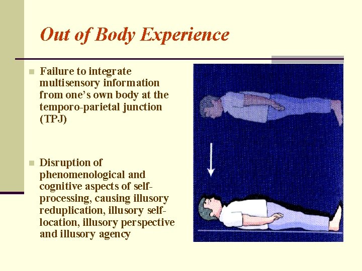Out of Body Experience n Failure to integrate multisensory information from one’s own body