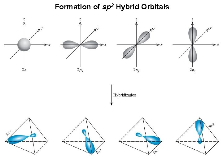 Formation of sp 3 Hybrid Orbitals 