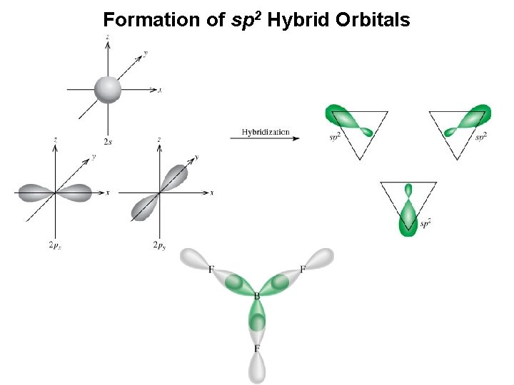 Formation of sp 2 Hybrid Orbitals 