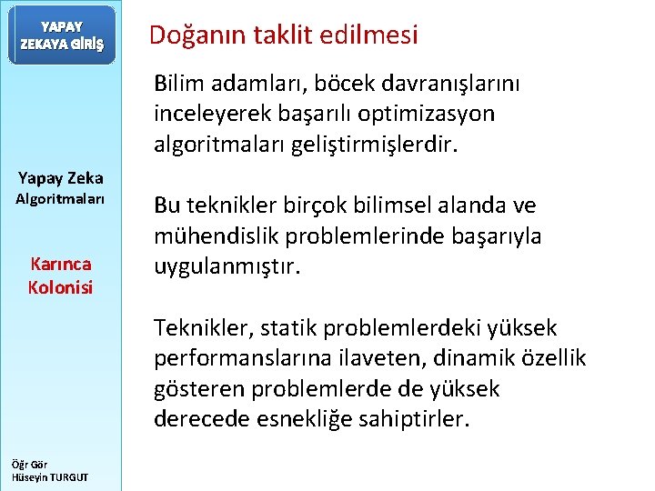 YAPAY ZEKAYA GİRİŞ Doğanın taklit edilmesi Bilim adamları, böcek davranışlarını inceleyerek başarılı optimizasyon algoritmaları